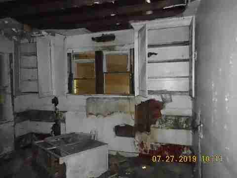 16737 Dolphin (22)_m.jpg